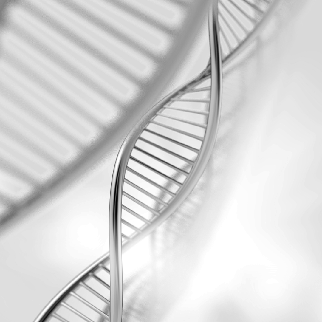 Test DNA capelli